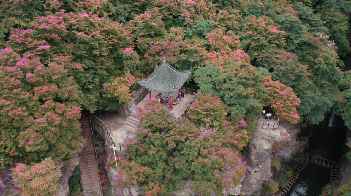 13027d1b9aa29e56196d4a677fe2c1f