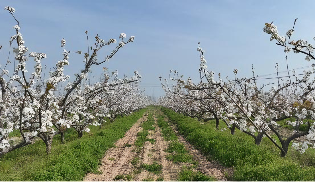 3ccba529d7744c29c0b89097defd0ec