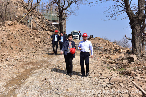 李萍到我市调研重点项目推进工作 (2)_副本.jpg